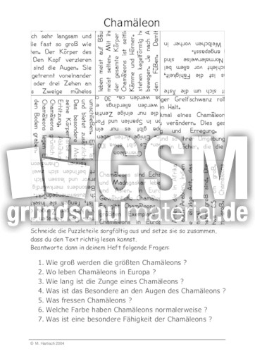 Chamäleon.pdf